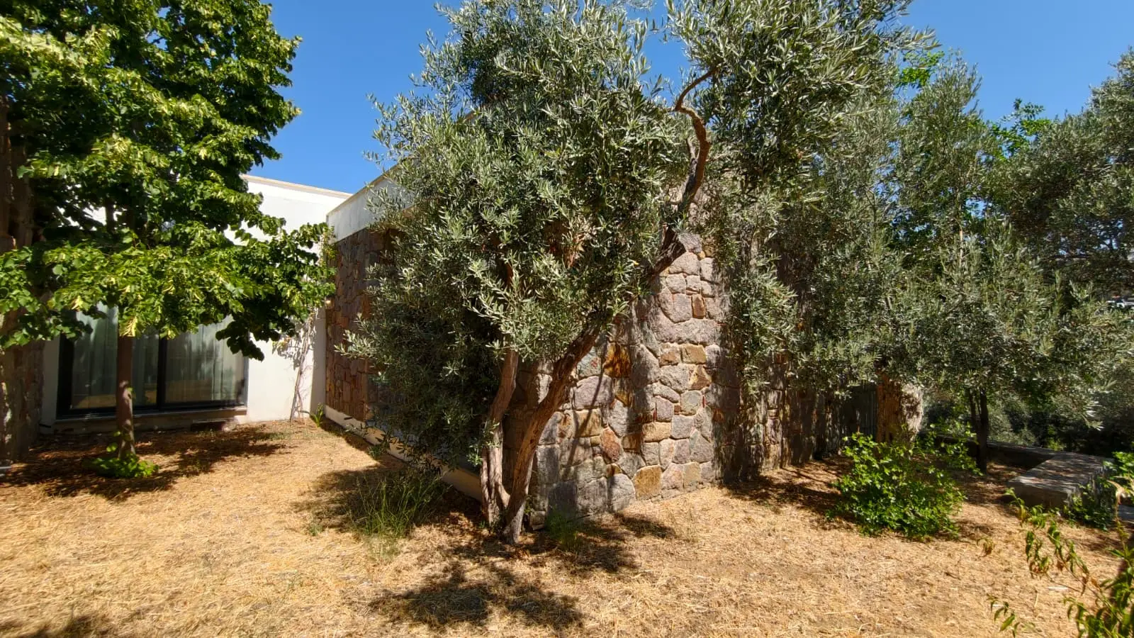 Property in Yalikavak